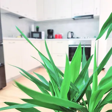 The Adventure - Steps 2 Old Town & Metro * 布加勒斯特