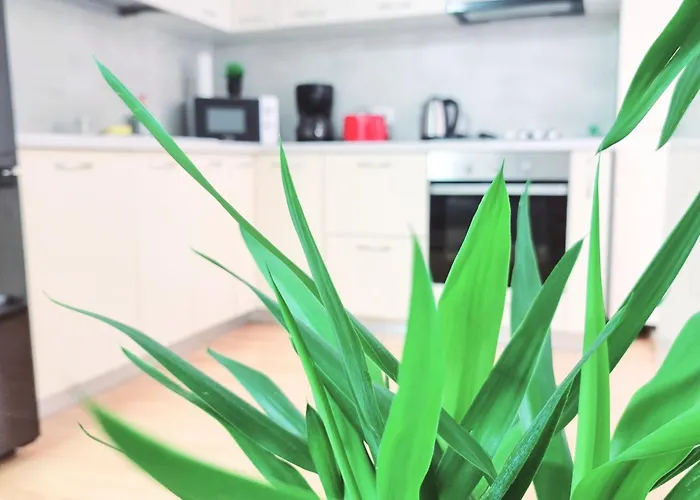 The Adventure - Steps 2 Metro & Old Town * ブカレスト